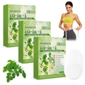 New Upgraded Style Moringa 10-in-1 Nano Microdarts Patch, Advanced Moringa Patches, Natural Body Patches for Women and Men - Gentle Formula for All Skin (4 PCS, 4 Boxes)