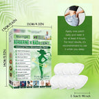 2026 New Upgraded Style Moringa 10-in-1 Nano Microdarts Patch, Advanced Moringa Patches, Natural Body Patches for Women and Men - Gentle Formula for All Skin